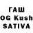 Канабис White Widow yrurur fjjrjdjd