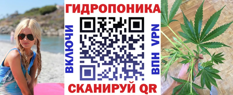 где купить   Райчихинск  Каннабис индика 